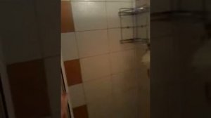 парк отель ая номер стандарт