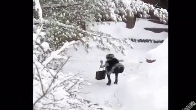 Зимой на каблуках