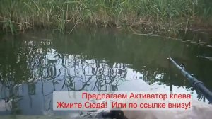 Рыбалка в Самарской области. Вот какая рыбалка в Самарской области