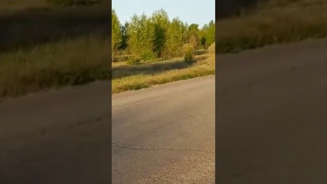 Стант на motoland xt 250hs(новый мотик) смотреть онлайн