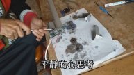 TOYOTA SIENTA 電動尾門制改(上集)TOYOTA SIENTE Electric Tailgate System Reform (Part 1)