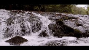 Каждому своё. Буддийская притча.