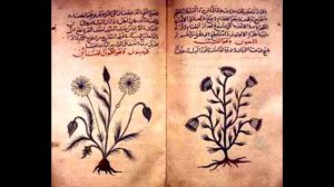 Когда приняли ислам чеченцы