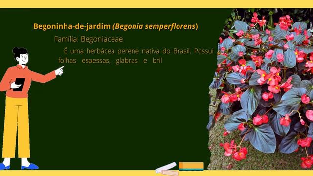 Vídeo Flores comestíveis e suas respectivas mrfologias - Millena dos Santos Ferreira смотреть онлайн