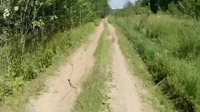 Поездка на ПитБайке в аэропорт Домодедово ✅ KAYO 125✅ Часть 1✅ смотреть онлайн