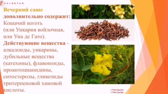 Чистка кишечника. смотреть онлайн