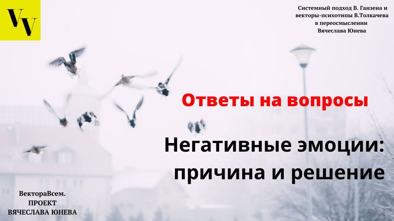 Общая причина негативных эмоций и что с ней делать. ВектораВсем. Проект Вячеслава Юнева