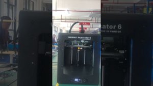 WANHAO D6plus Mk2 Auto leveling process.