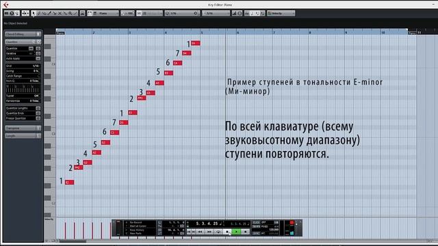 Ступени тональности. Почему ступеней 7, а тональностей много.