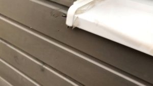 Крепим отливы на пластиковые окна на монтажную пену. Строим каркасный дом