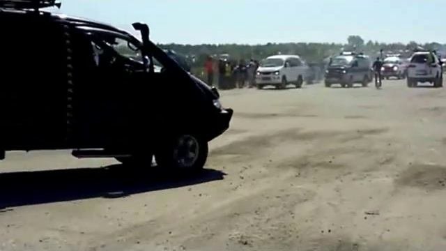 Делиководы