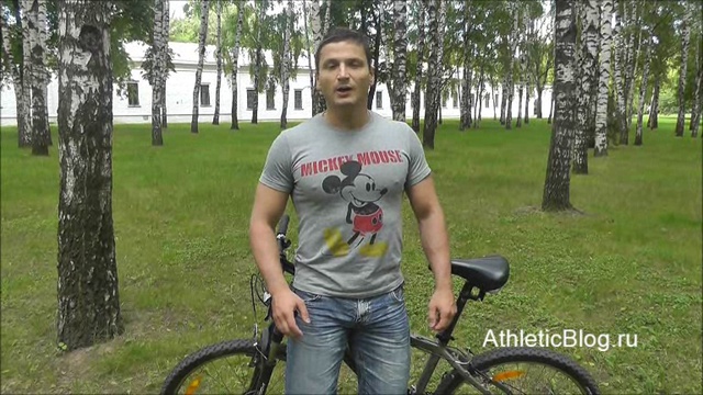 Базовые упражнения в тренажерном зале. Базовые упражнения в бодибилдинге. 
