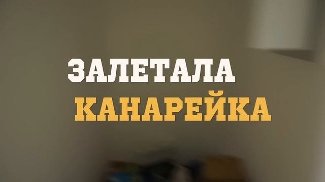 Однокомнатная квартира | ДИЗАЙН ИНТЕРЬЕРА для семьи с ребенком | Vittoria Selina