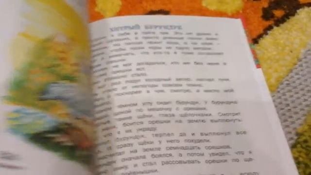 Внеклассное чтение от издательства Русич  Видеообзор