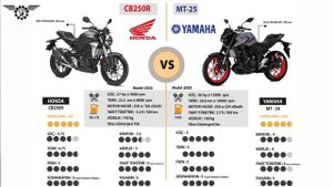 Yamaha MT 25 vs Honda CB 250R Hangisini Almalı ?