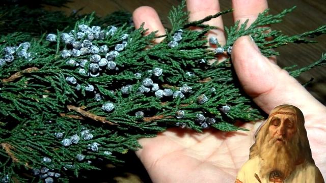 Тайна можжевелового чуда. смотреть онлайн