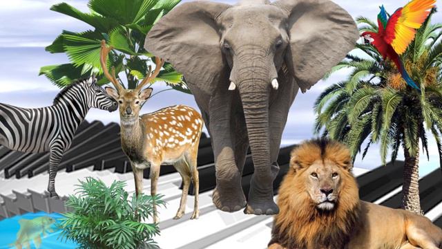 CSO Virtual Children's Concert: Carnival of the Animals смотреть онлайн