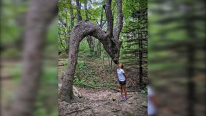 Фактория - Такие совпадения больше никогда не произойдут.

#Развлекательно
#Фактория