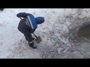 Инженерная защита виновата в гибели рыбы