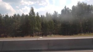 Автобус 113 Дзержинск-Пыра