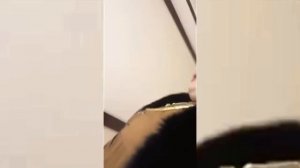Халима Ибрагимова нималар деб ташлади дахшат