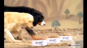 Реклама Чаппи Шашлык 2007