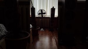 Акустика Dali Ikon 7.