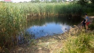 Мозырь. Бобровское озеро природный водоем на грани исчезновения. Экология