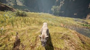 All Tamed BEASTS Petting l Far Cry Primal (4K60FPS)