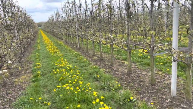 46й день/ Варёнка - плохо или хорошо?/ Почему врачи не говорят о всех причинах мигрени/ Вся моя еда смотреть онлайн