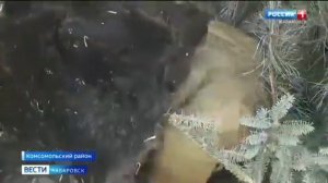 16.02.2023. Добрым быть совсем совсем не просто! Не зависит доброта от роста....