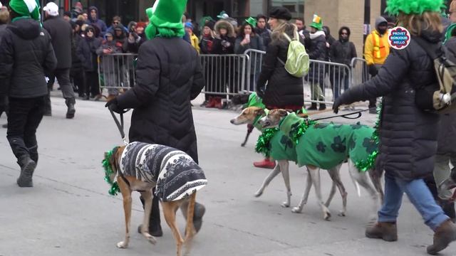 День Святого Патрика 2019 - St Patrick’s Day Parade