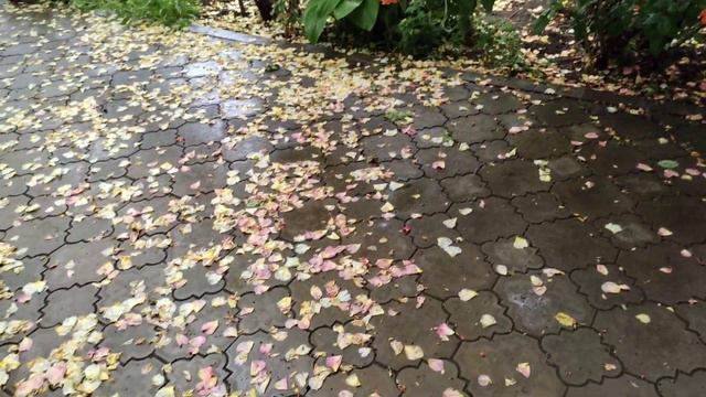 Всем красивого и доброго летнего вечера! смотреть онлайн