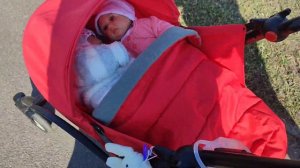 Прогулка с двумя реборнами 🍼🌸