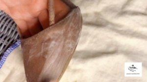 How to clean your #suede with Saphir Beaute du Cuir Omnidaim Cleaner