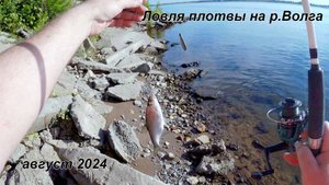 Ловля плотвы на р.Волга
