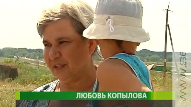 В Курском крае посчитают аистов смотреть онлайн