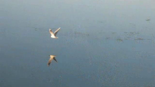 Пустынские озера смотреть онлайн