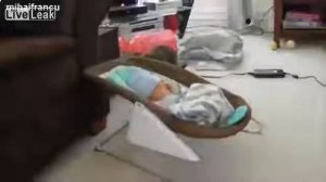 Реакция_собак_и_кошек_на_новорожденных_детей._Смешное_видео.