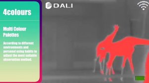 Монокуляр тепловизор DALI S252