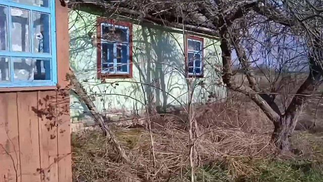 Первая топка в доме за 6 Лет !!! Уборка