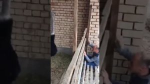 Страус против мужика