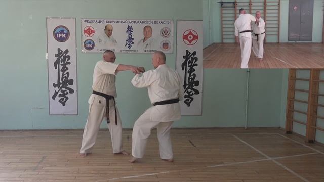 ШКОЛА КЁКУСИНКАЙ. ЯНЦУ (ПОДРОБНО). 1 КЮ смотреть онлайн