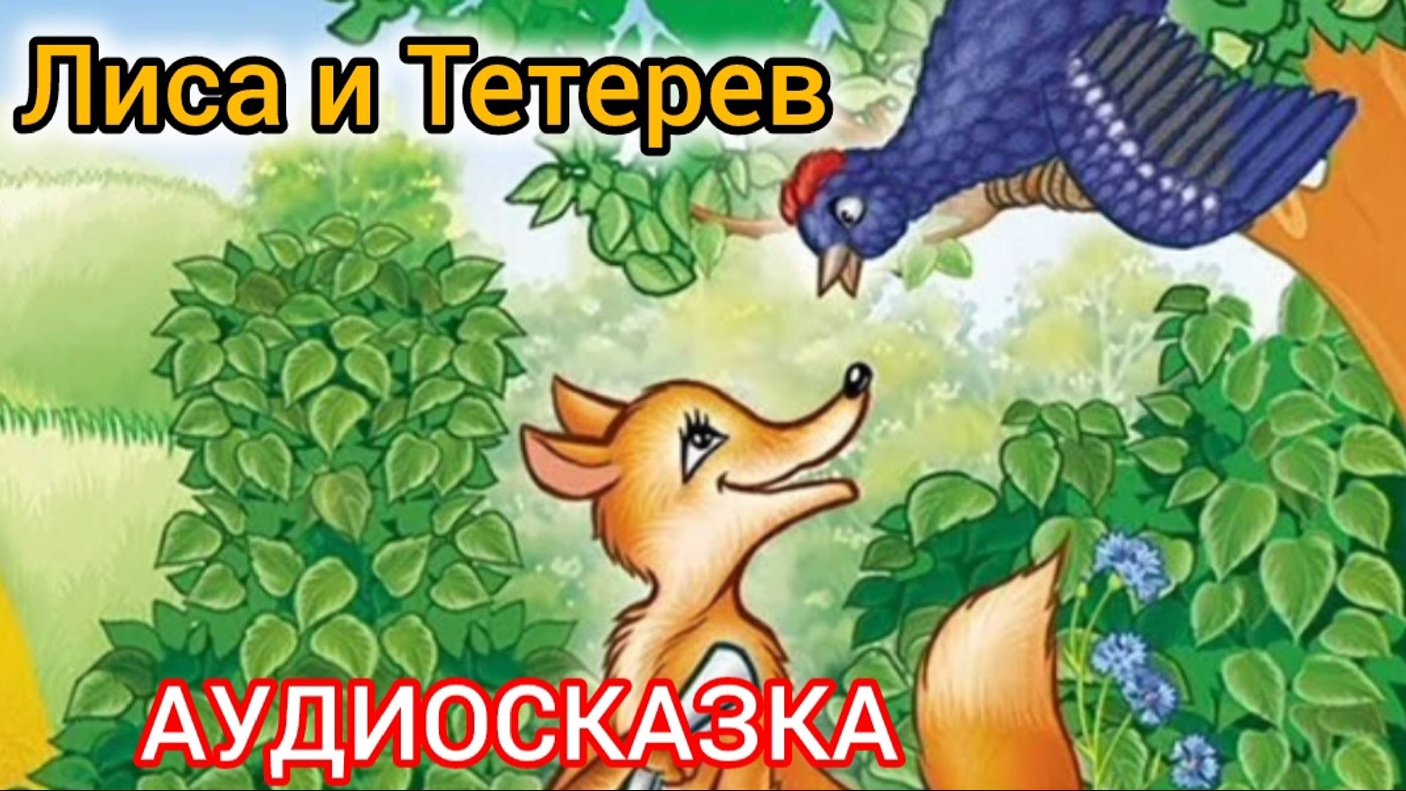 Сказка лиса и тетерев слушать аудиосказку. Сказка лиса и тетерев слушать аудиосказку