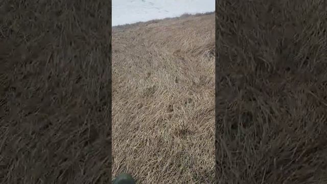 Что происходит с зеленой кровлей весной после схода снега? смотреть онлайн