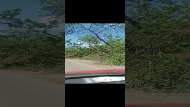 Луганск дебри покатушки