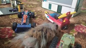 Хомяк в Лего Сити. Hamster in Lego City. Конструктор для хомяка. Хомяк бродяга.