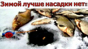 Рыбаки в шоке! Никогда не будешь ловить на червя. Самодельная насадка для зимней рыбалки. Рыбалка.