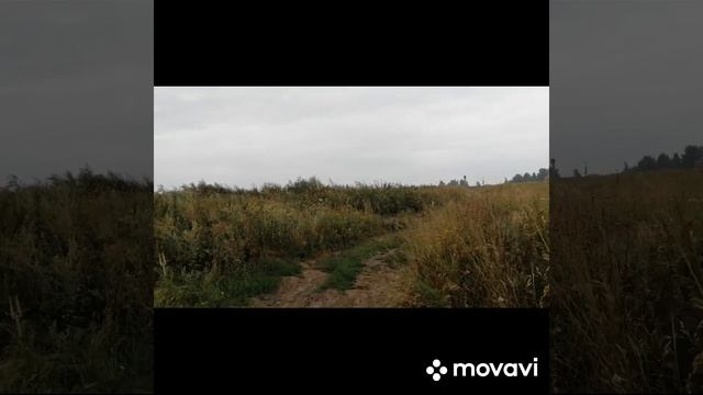 Поднимаем Цены На Товар Клиенты Не Против // С.Х.У Жизнь В Селе смотреть онлайн