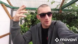 Гидропоника обучения учения гровингу